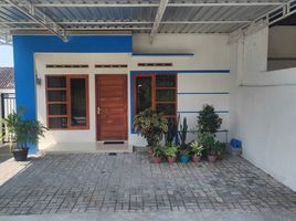 2 Bedroom Villa for sale in Tepus, Gunung Kidul, Tepus