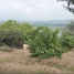  Land for sale in Salamanca, Guanajuato, Salamanca