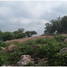  Land for sale in Salamanca, Guanajuato, Salamanca