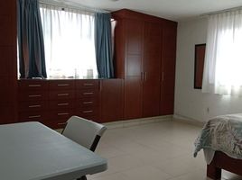 1 Schlafzimmer Wohnung zu vermieten in Toluca, Mexico, Toluca