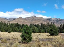  Terreno (Parcela) en venta en Lacar, Neuquen, Lacar