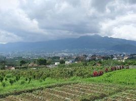  Tanah for sale in Bumiaji, Malang Regency, Bumiaji