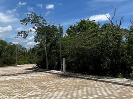 Terrain à vendre à Cozumel, Quintana Roo, Cozumel