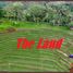  Land for sale in Belimbing Rice Terraces, Pupuan, Pupuan