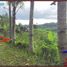  Terrain for sale in Belimbing Rice Terraces, Pupuan, Pupuan