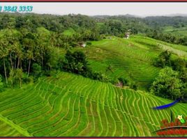  Land for sale in Belimbing Rice Terraces, Pupuan, Pupuan