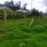  Land for sale in Gachancipa, Cundinamarca, Gachancipa