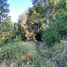  Land for sale in Araucania, Pucon, Cautin, Araucania
