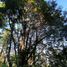  Land for sale in Araucania, Pucon, Cautin, Araucania