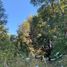  Land for sale in Araucania, Pucon, Cautin, Araucania