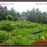  Land for sale in Ubud, Gianyar, Ubud