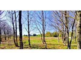 Studio House for sale in Cautin, Araucania, Pitrufquen, Cautin