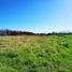 Studio House for sale in Cautin, Araucania, Pitrufquen, Cautin