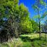 Studio House for sale in Cautin, Araucania, Pitrufquen, Cautin