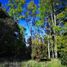 Studio House for sale in Cautin, Araucania, Pitrufquen, Cautin