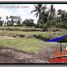  Land for sale in Ubud, Gianyar, Ubud