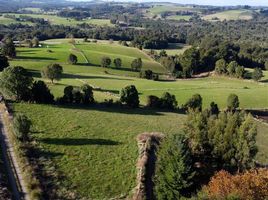  Terrain for sale in Llanquihue, Los Lagos, Los Muermos, Llanquihue
