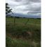  Land for sale in Anton, Cocle, Rio Hato, Anton