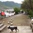  Land for sale in Monterrey, Nuevo Leon, Monterrey