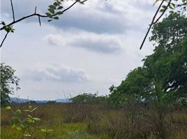 Studio Villa zu verkaufen in San Lorenzo, Chiriqui, San Lorenzo, San Lorenzo