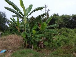  Grundstück zu verkaufen in Kuala Selangor, Selangor, Tanjong Karang, Kuala Selangor