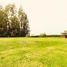 Land for sale in Melipilla, Santiago, Melipilla, Melipilla