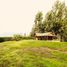  Land for sale in Melipilla, Santiago, Melipilla, Melipilla