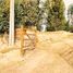 Land for sale in Melipilla, Santiago, Melipilla, Melipilla