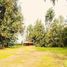  Land for sale in Melipilla, Santiago, Melipilla, Melipilla