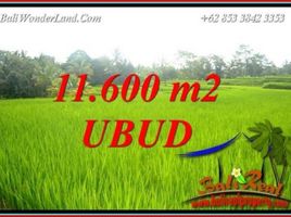  Terrain for sale in Tegallalang, Gianyar, Tegallalang