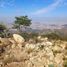  Land for sale in Pachuca De Soto, Hidalgo, Pachuca De Soto