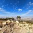  Land for sale in Pachuca De Soto, Hidalgo, Pachuca De Soto