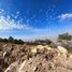  Land for sale in Pachuca De Soto, Hidalgo, Pachuca De Soto
