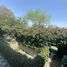 4 Bedroom House for sale in Santiago, San Jode De Maipo, Cordillera, Santiago