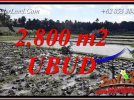  Land for sale in Ubud, Gianyar, Ubud