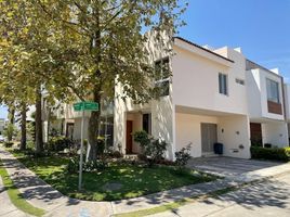 3 Habitación Casa en alquiler en Zapopan, Jalisco, Zapopan