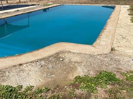  Terreno (Parcela) en venta en Maule, San Clemente, Talca, Maule