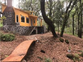 2 Schlafzimmer Haus zu verkaufen in Tianguistenco, Mexico, Tianguistenco