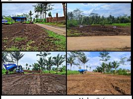  Land for sale in Malang Regency, East Jawa, Kepanjen, Malang Regency