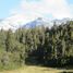  Land for sale in Chile, Cochamo, Llanquihue, Los Lagos, Chile