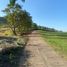  Land for sale in Amatitan, Jalisco, Amatitan