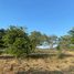  Land for sale in Amatitan, Jalisco, Amatitan