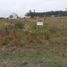  Terreno (Parcela) en venta en Uruguay, Entre Rios, Uruguay