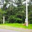  Land for sale in Charo, Michoacan, Charo