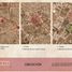  Terreno (Parcela) en venta en San Jeronimo Tecuanipan, Puebla, San Jeronimo Tecuanipan