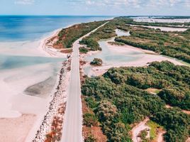  Grundstück zu verkaufen in Sinanche, Yucatan, Sinanche