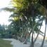  Land for sale in Maribojoc, Central Visayas, Maribojoc