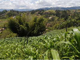  Terreno (Parcela) en venta en San Vicente, Antioquia, San Vicente