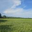 Studio Villa for sale in Anton, Cocle, Anton, Anton, Cocle