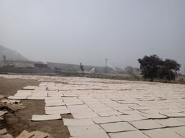  Grundstück zu verkaufen in Lurigancho, Lima, Lurigancho, Lima, Lima, Peru